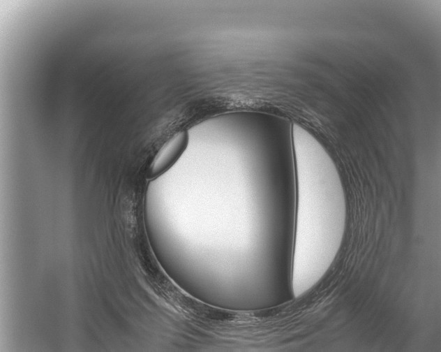 X0000059830215200510211030