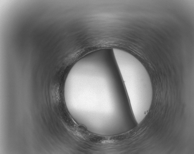 X0000059830216200510211030