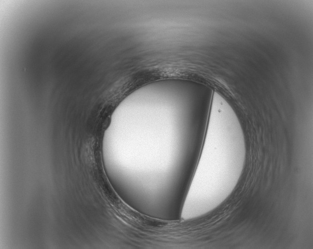 X0000059830217200510211030