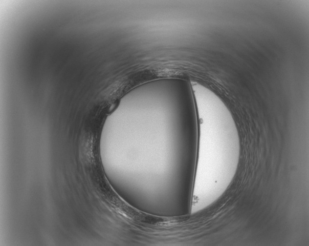 X0000059830219200510211030