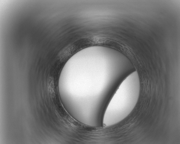 X0000059830220200510211030