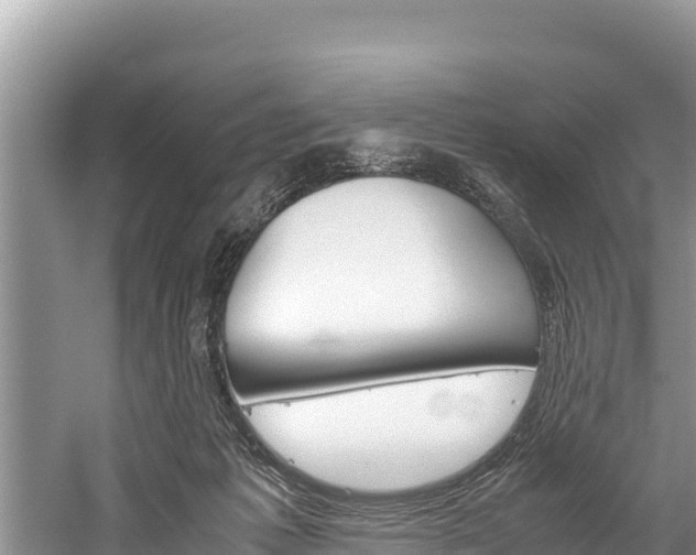 X0000059830221200510211030