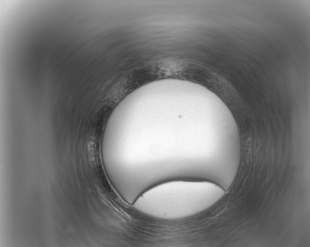 X0000059830222200510211030