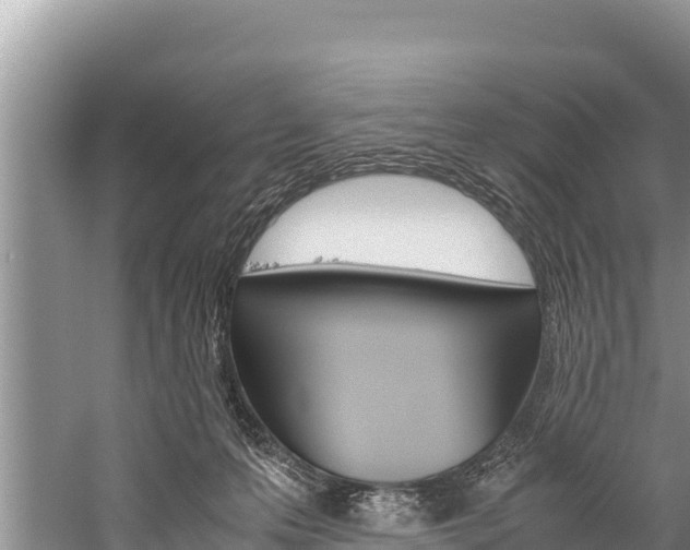 X0000059830223200510211030