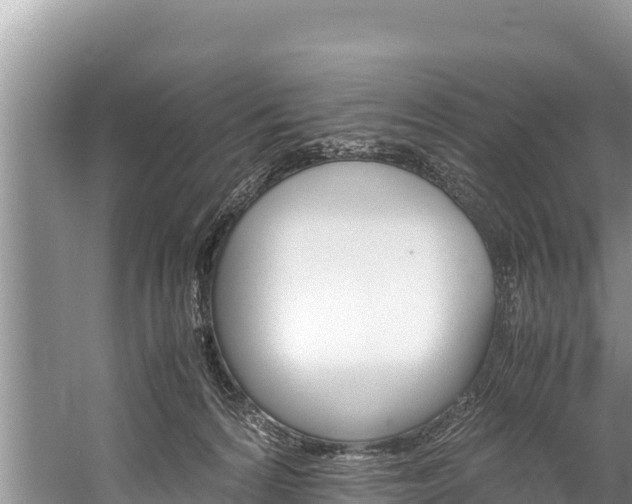 X0000059830224200510211030