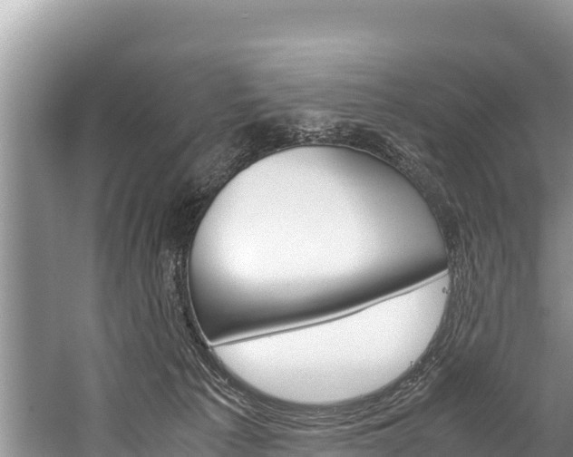 X0000059830225200510211030