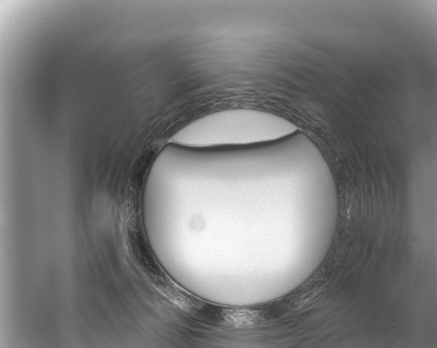 X0000059830226200510211030