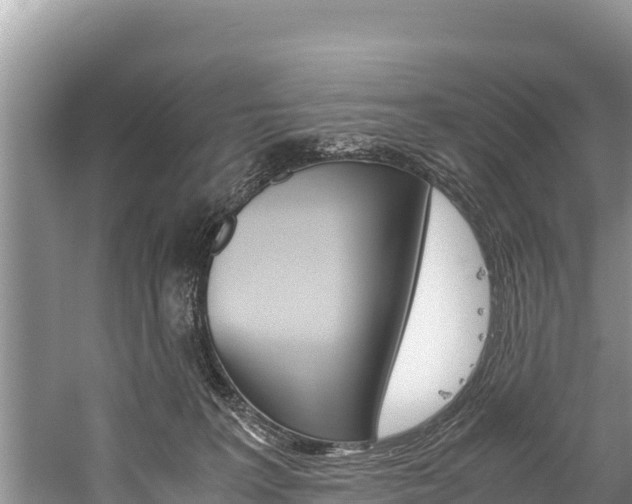 X0000059830227200510211030