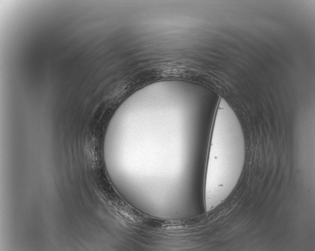 X0000059830228200510211030