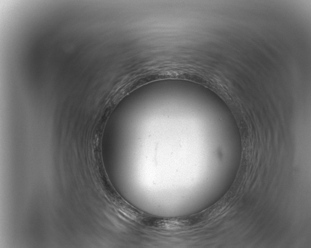 X0000059830229200510211030