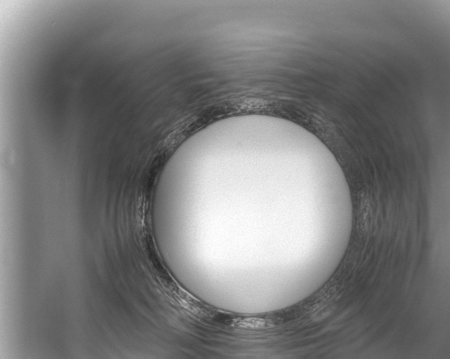 X0000059830230200510211030