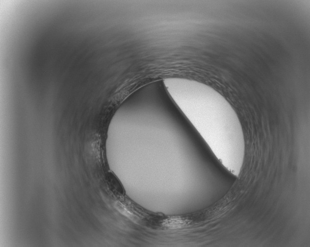 X0000059830231200510211030