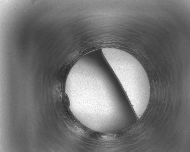 X0000059830232200510211030