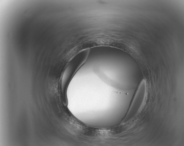 X0000059830233200510211030