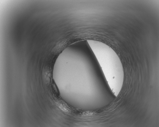 X0000059830235200510211030