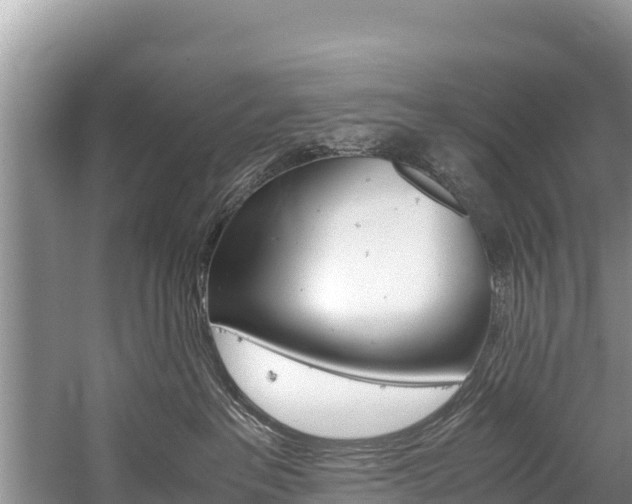 X0000059830237200510211030