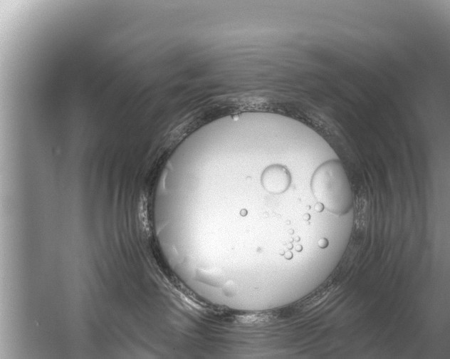 X0000059830238200510211030