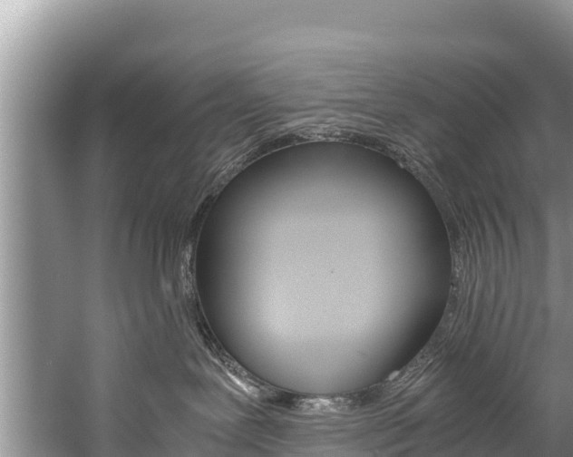 X0000059830239200510211030