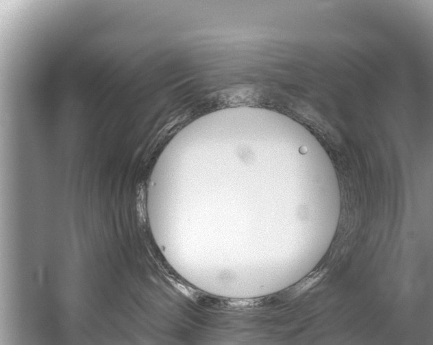 X0000059830240200510211030