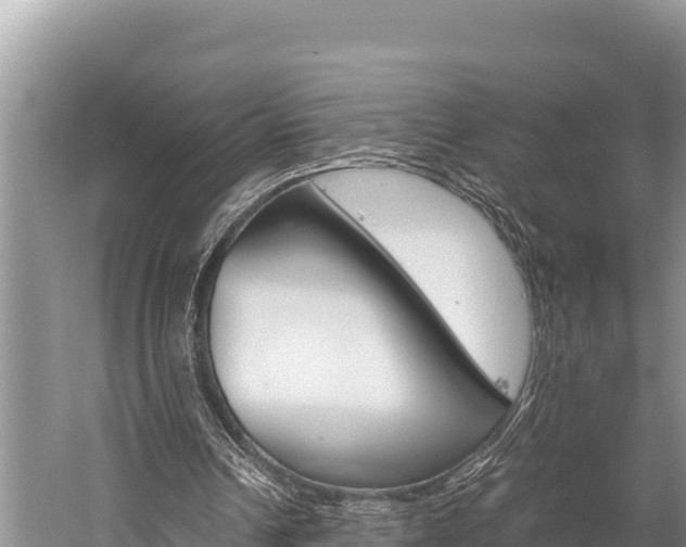 X0000059830242200510211029