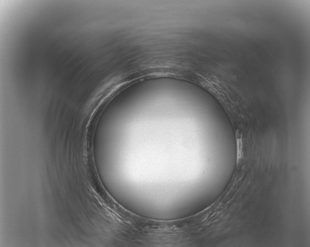 X0000059830243200510211029