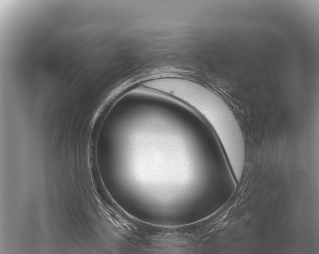 X0000059830244200510211029