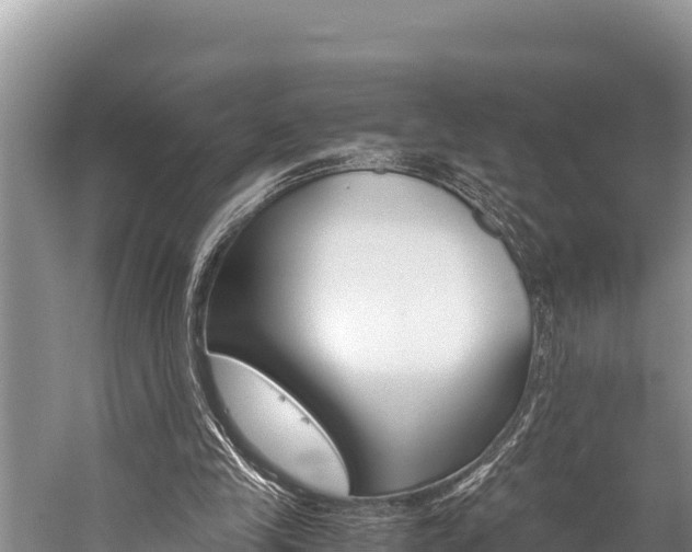 X0000059830245200510211029