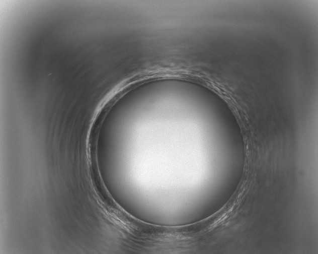 X0000059830246200510211029