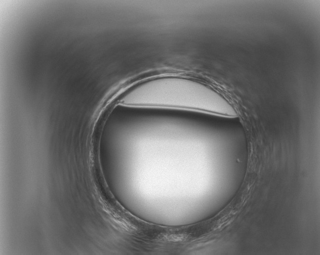 X0000059830247200510211029