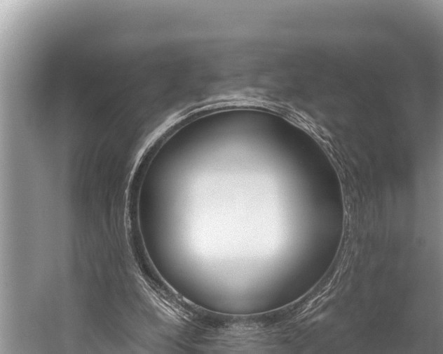 X0000059830248200510211029