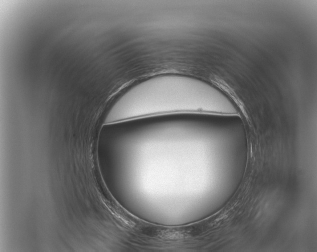 X0000059830249200510211029