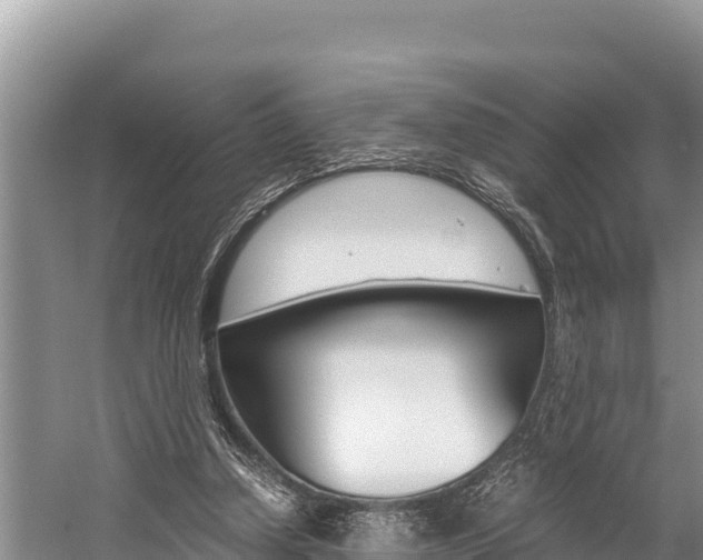 X0000059830250200510211029