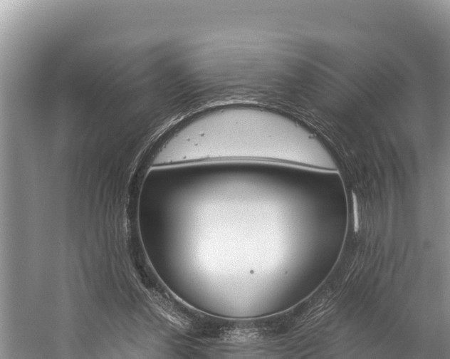 X0000059830252200510211029