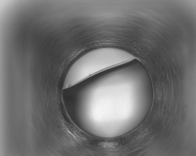 X0000059830255200510211029