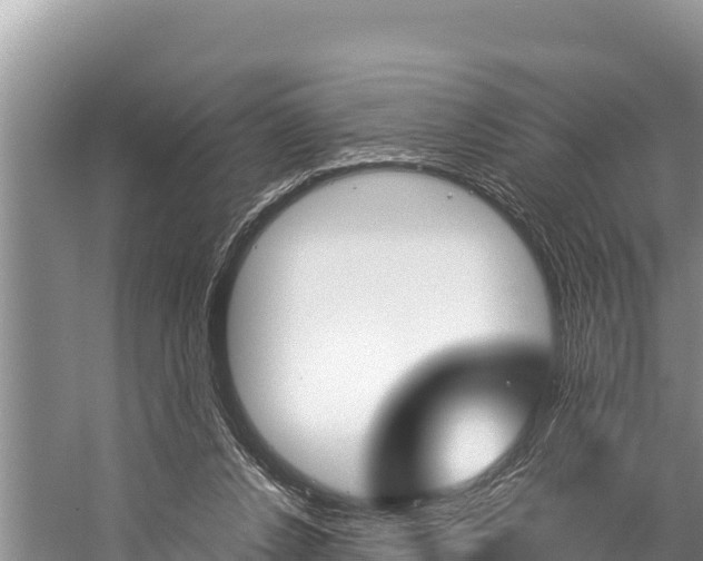 X0000059830256200510211029