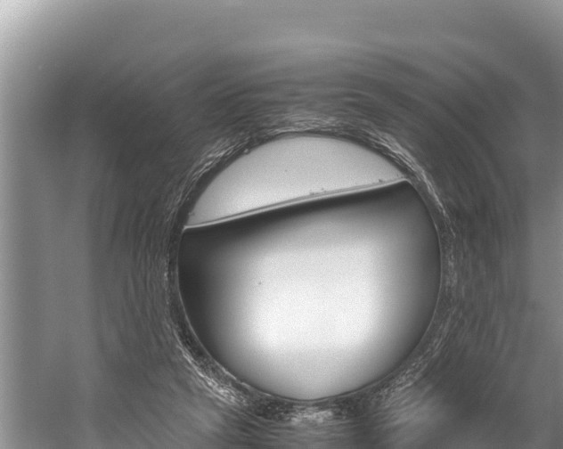 X0000059830257200510211029