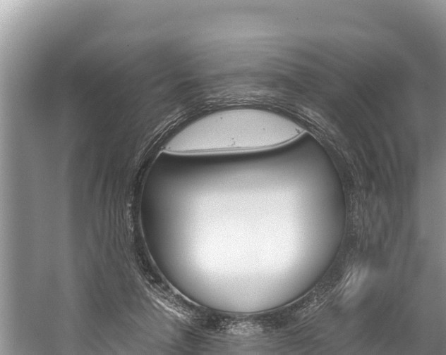 X0000059830258200510211029