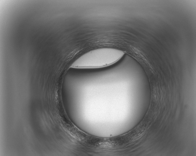 X0000059830259200510211029