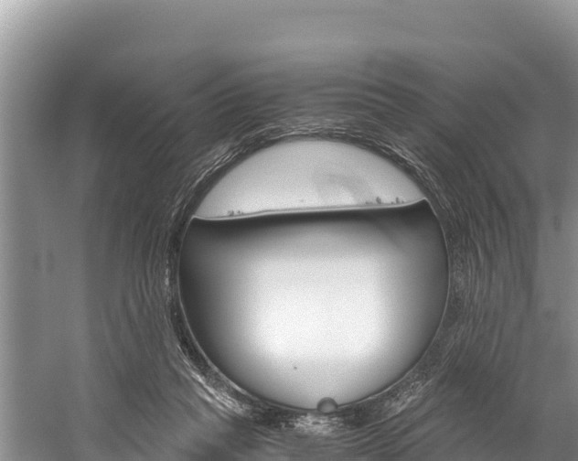 X0000059830261200510211029