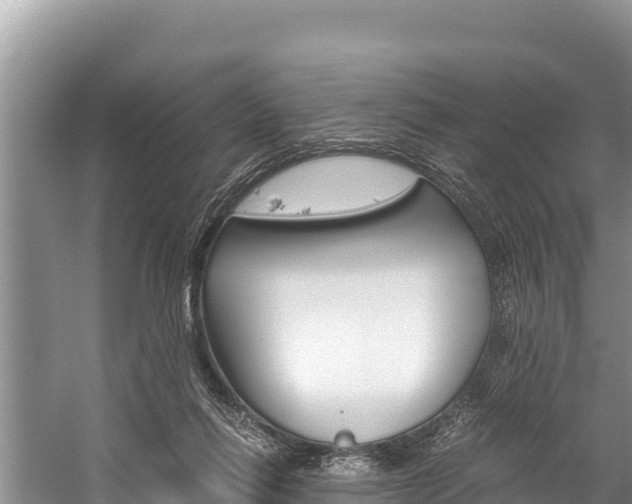 X0000059830262200510211029