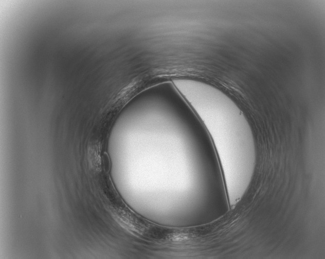 X0000059830264200510211029