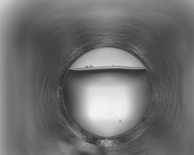 X0000059830265200510211029