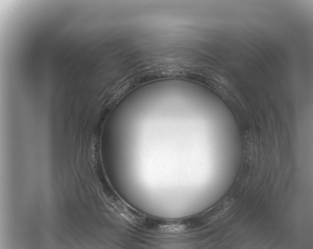 X0000059830266200510211029