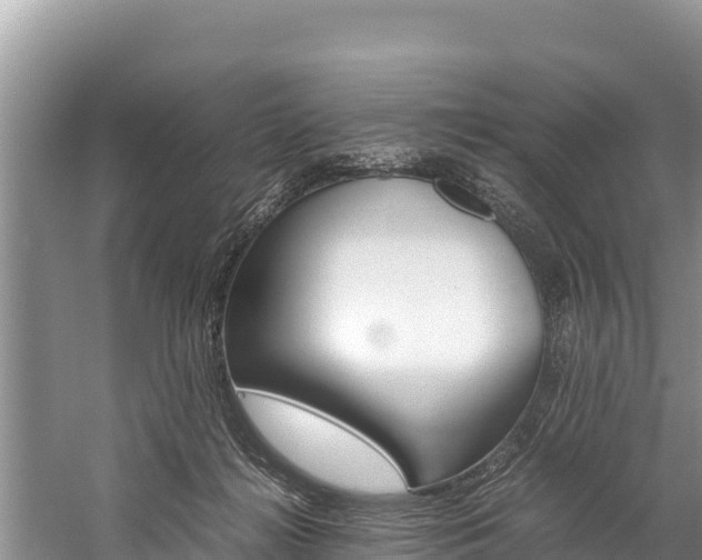 X0000059830268200510211029