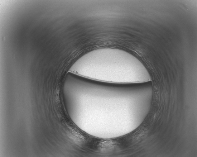 X0000059830269200510211029