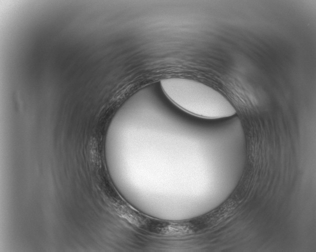 X0000059830270200510211029