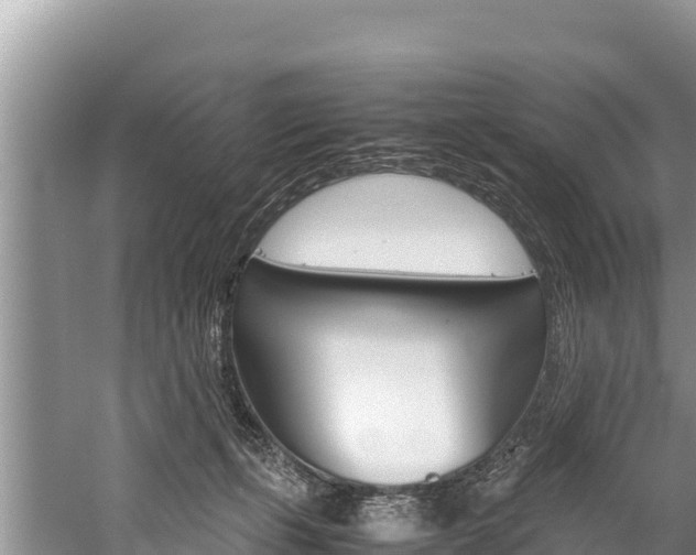 X0000059830271200510211029