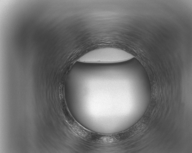 X0000059830272200510211029