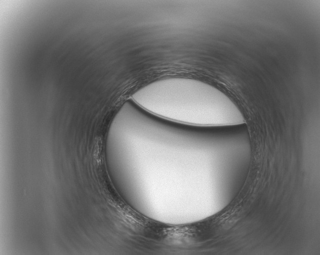 X0000059830273200510211029