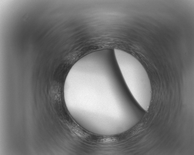 X0000059830274200510211029